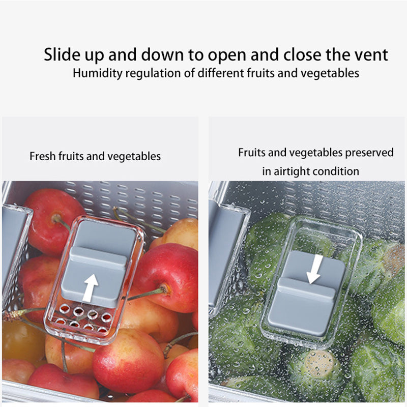 Fresh Produce Vegetable Fruit Storage Containers