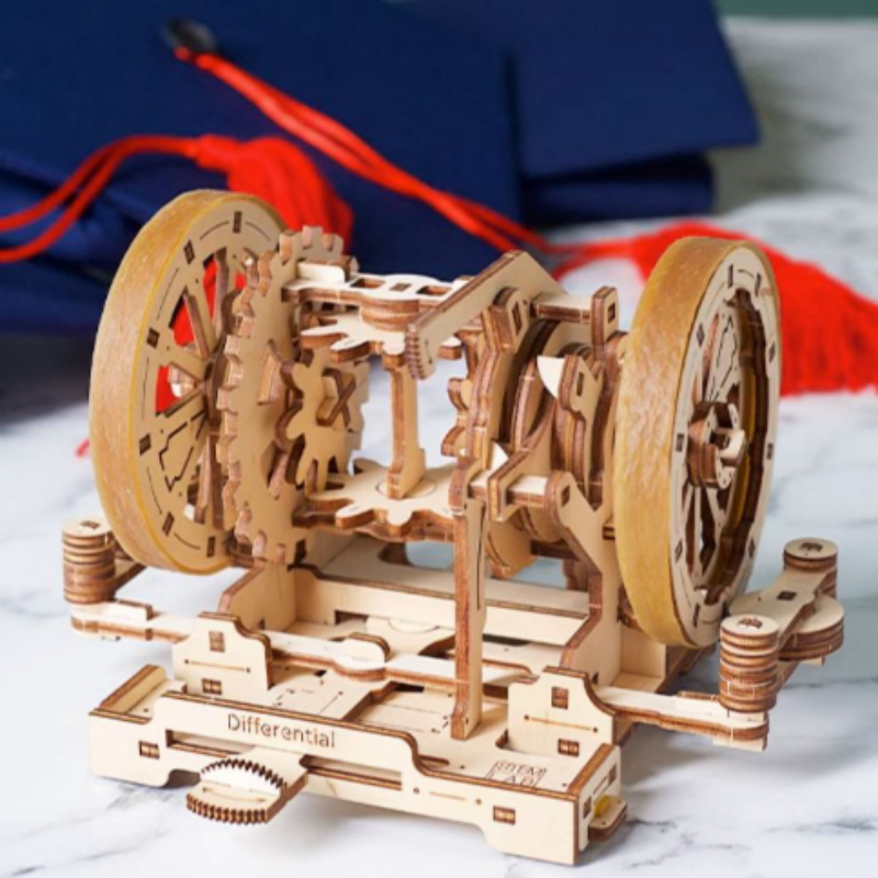 Differential Mechanism 3D Wooden Puzzle