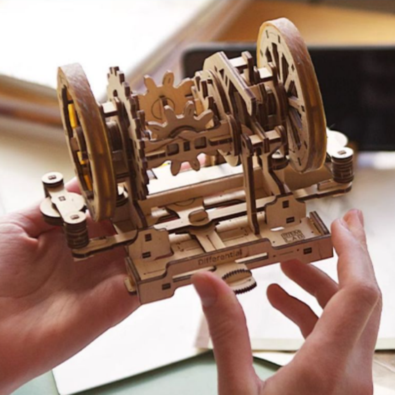 Differential Mechanism 3D Wooden Puzzle