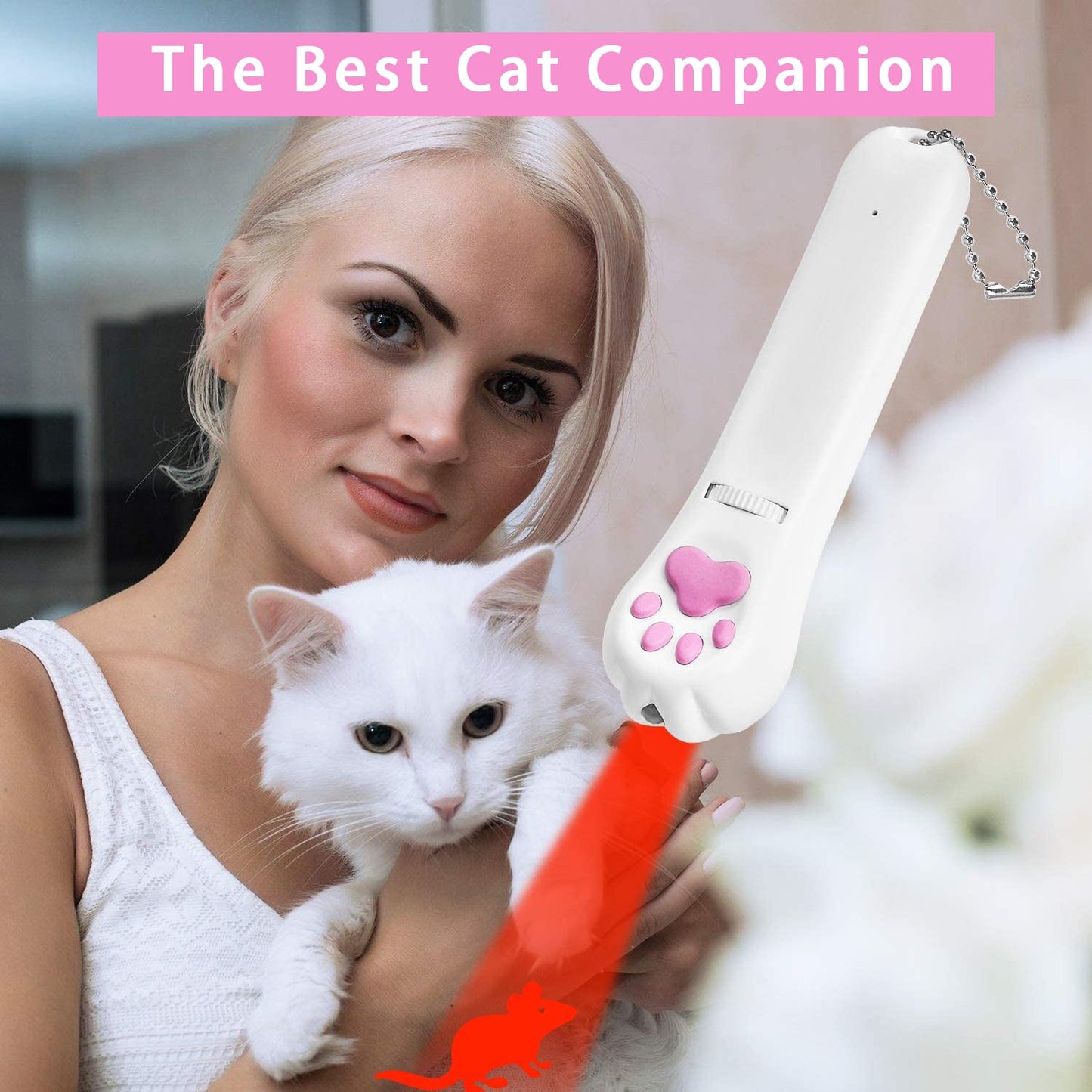 Indoor Pet Interactive Toy
