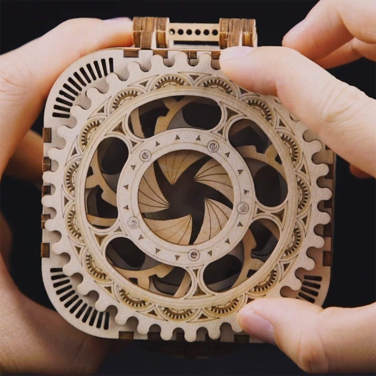 3D Wooden Puzzle Mechanical Treasure Box