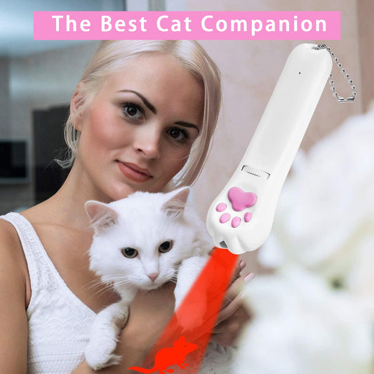 Indoor Pet Interactive Toy