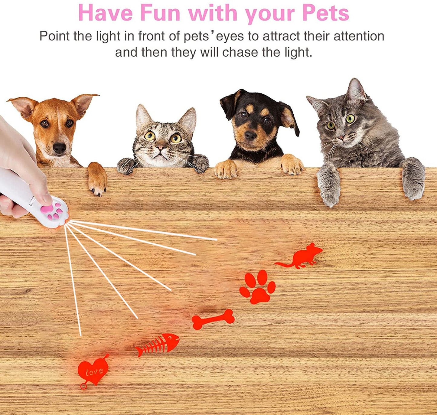 Indoor Pet Interactive Toy