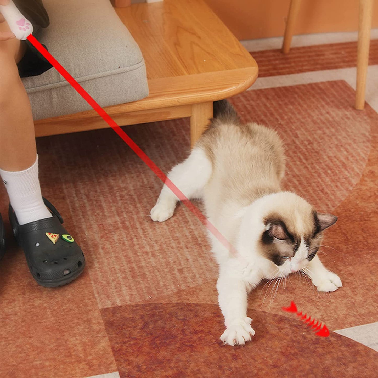 Indoor Pet Interactive Toy