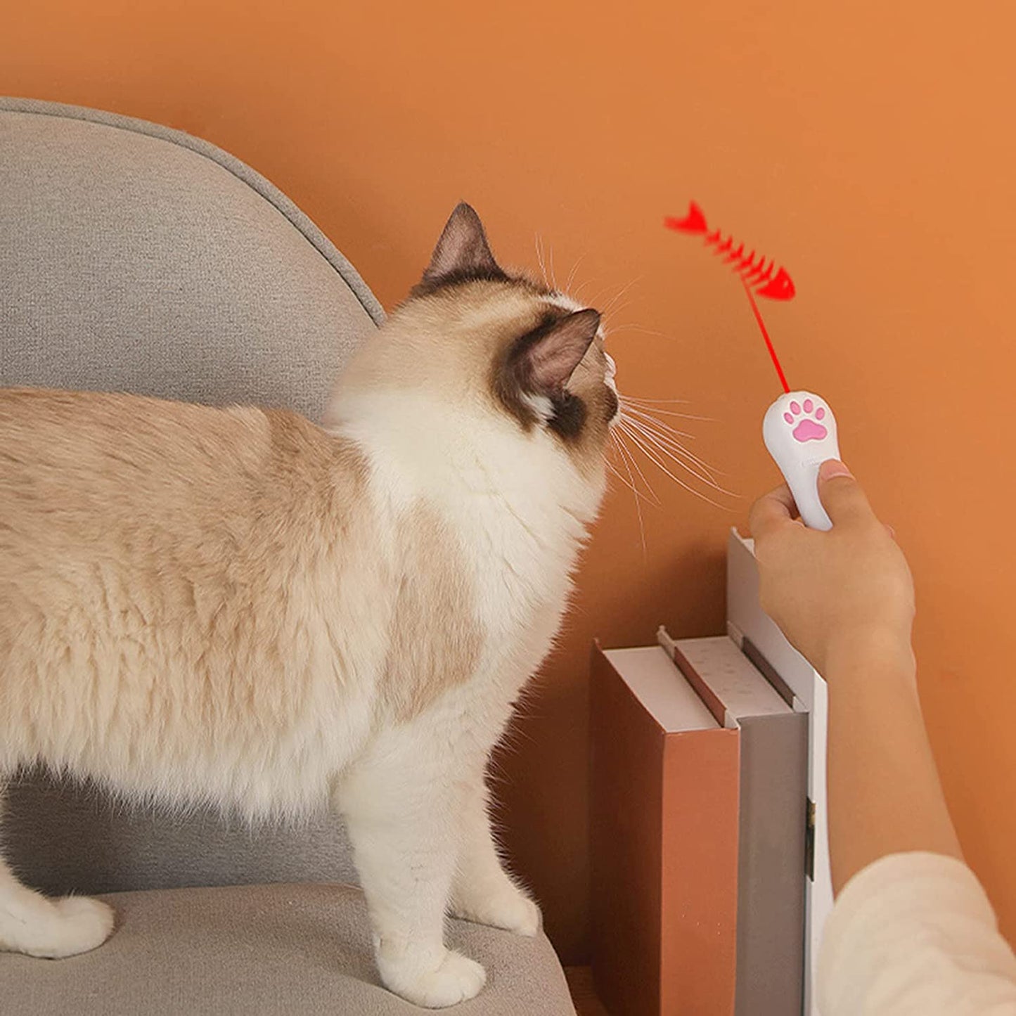 Indoor Pet Interactive Toy