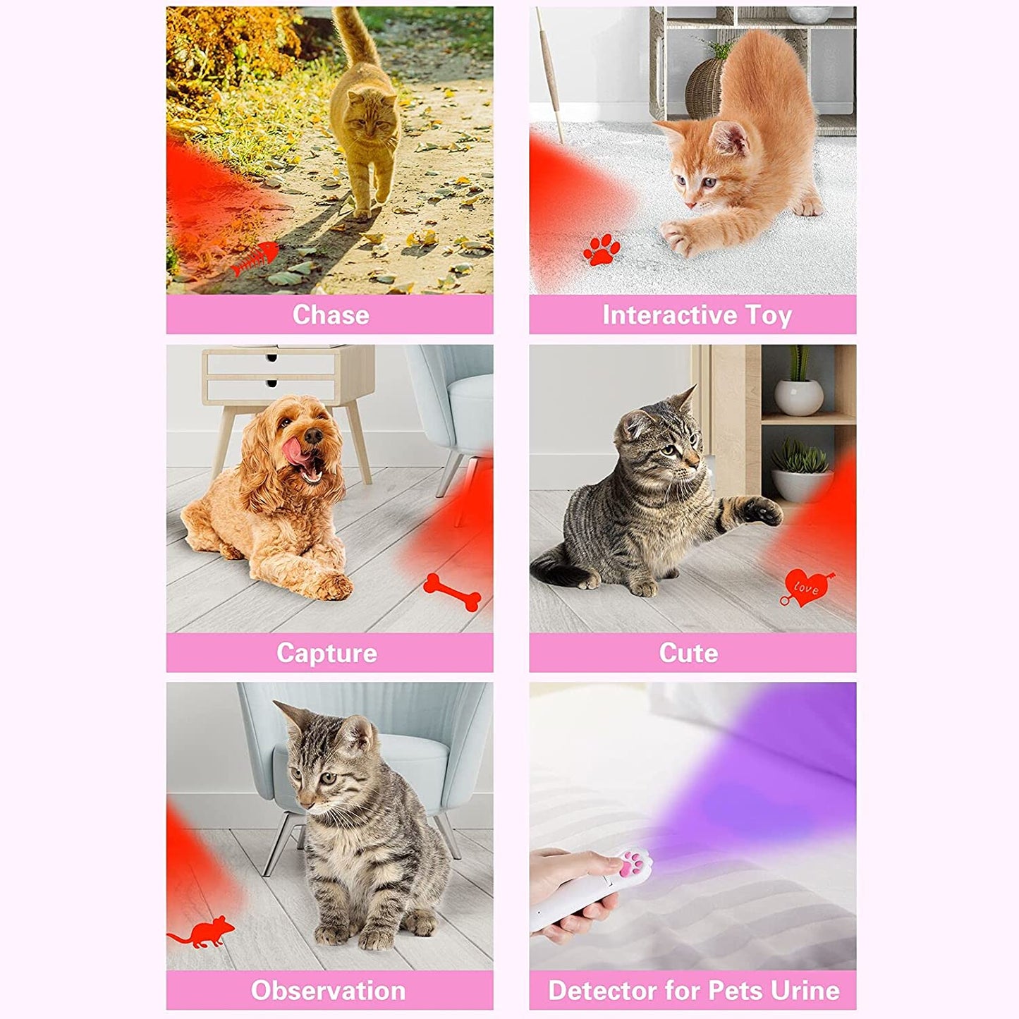 Indoor Pet Interactive Toy